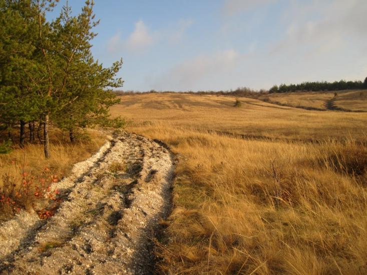 Біленьке з panoramio.com - Біленьке