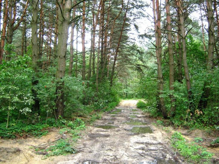 Рясне-Руське з panoramio.com - Рясное-Русское