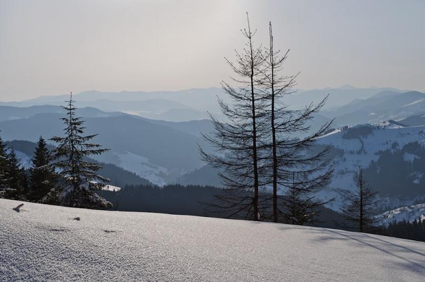 Черетів з panoramio.com - Черетов