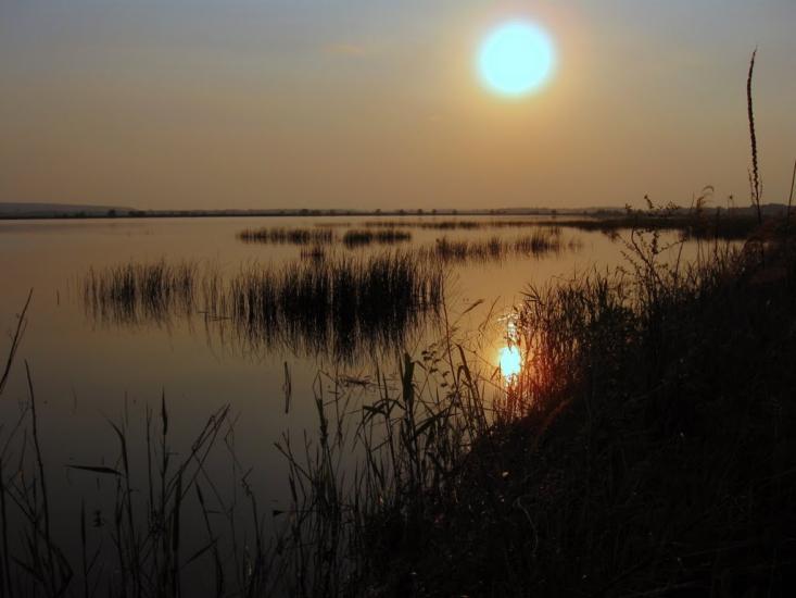 Вільхове з panoramio.com - Вільхове