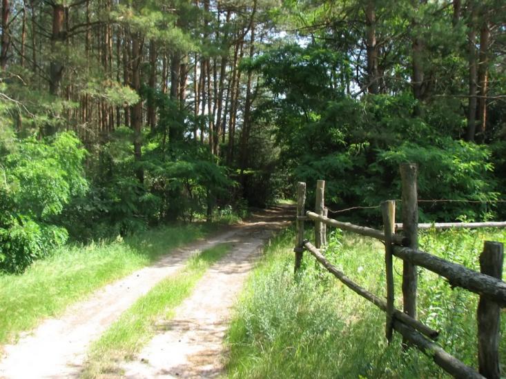 Червона Гута з panoramio.com - Червона Гута