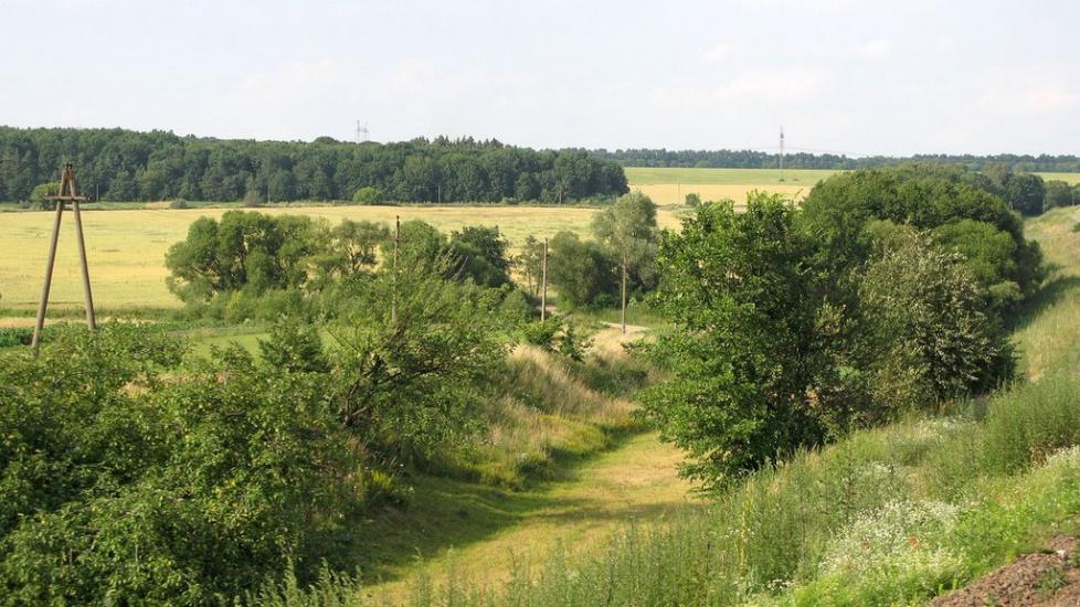 Селище з panoramio.com - Селище
