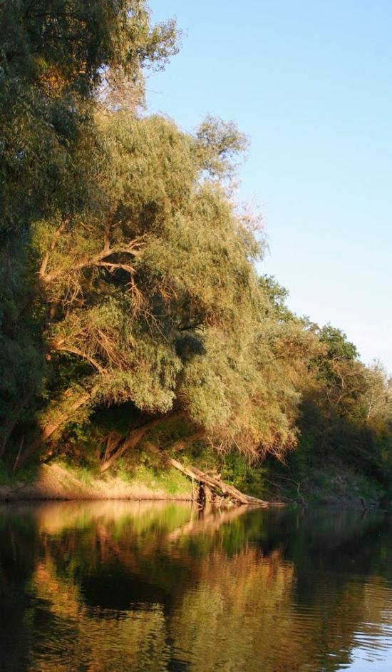 Юрки з panoramio.com - Юрки