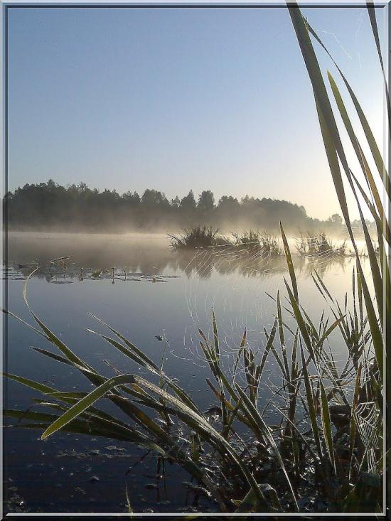 Макове з panoramio.com - Маково