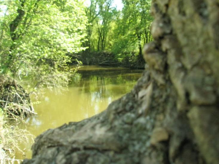 Передільське з panoramio.com - Передільське