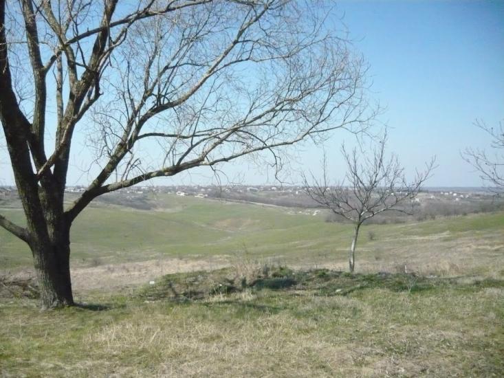 Таранівка з panoramio.com - Тарановка