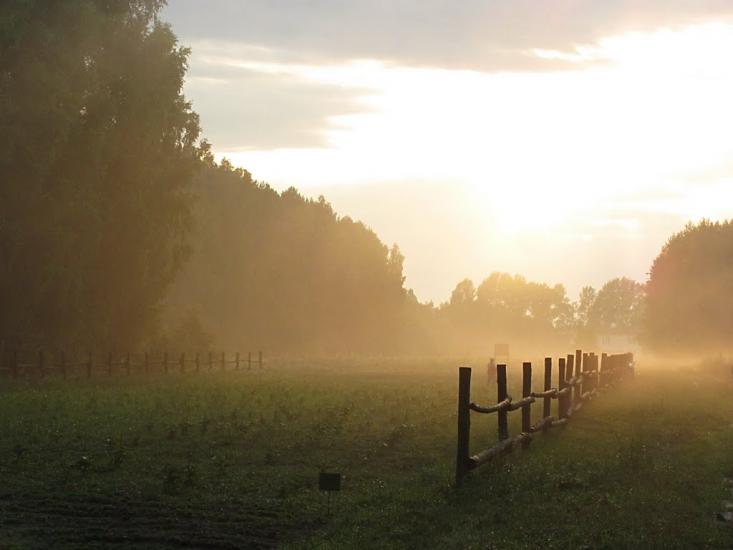 Нові Яриловичі з panoramio.com - Новые Ярыловичи