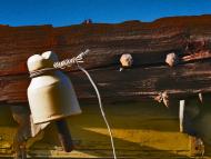 В'язівка з panoramio.com