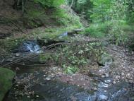 Зарічне з panoramio.com