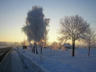 Dolishnye Zaluchchya - Latest photos