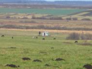 Ковиничі з panoramio.com