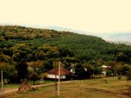 Кибаки з panoramio.com