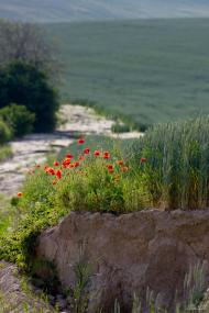 Шпанів з panoramio.com