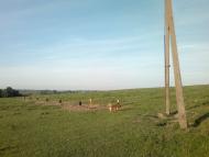 Ковиничі з panoramio.com