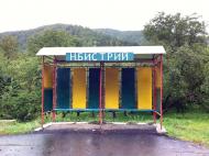 Нижній Бистрий з panoramio.com