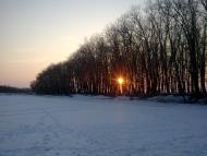 Купчичі з panoramio.com