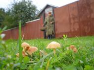 Оболоння з panoramio.com