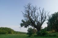 Геївка з panoramio.com - Geyivka