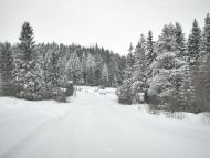 Нижня Яблунька з panoramio.com