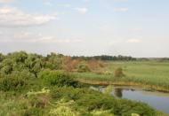 Піщанівка з panoramio.com