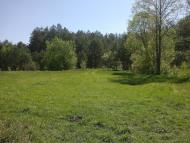 Собичеве з panoramio.com