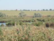 Сухий Лиман з panoramio.com