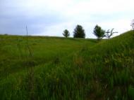 Мале з panoramio.com