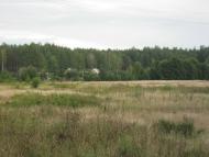 Пилиповичі з panoramio.com