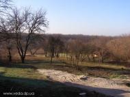Підлісне з panoramio.com - Pidlisne