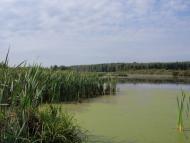 Перепис з panoramio.com