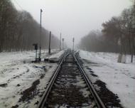 Шепелівка з panoramio.com