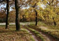 Червоний Донець з panoramio.com - Червоний Донець