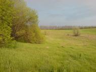 Сад з panoramio.com