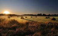 Петропавлівка з panoramio.com