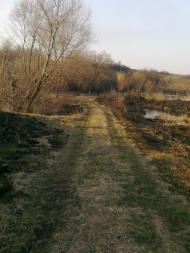 Миколаївські Сади з panoramio.com