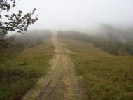 Потік з panoramio.com