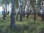 Іскра з panoramio.com