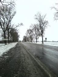 Базарове з panoramio.com