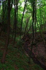 Головенка з panoramio.com