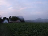 Острів з panoramio.com