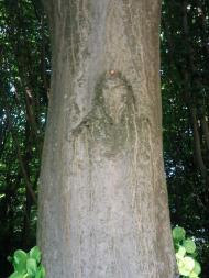 Бойки з panoramio.com