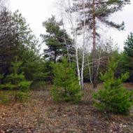 Зачепилівка з panoramio.com