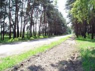 Зачепилівка з panoramio.com