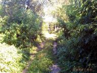 Млиниська з panoramio.com