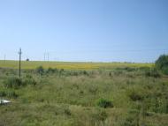 Тарасівка з panoramio.com