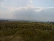 Топорівці з panoramio.com