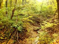 Майданецьке з panoramio.com - Maydanetske