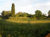 Дзержинське з panoramio.com