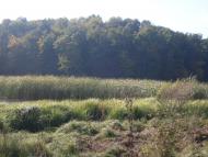 Зятківці з panoramio.com