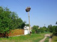 Майданецьке з panoramio.com - Maydanetske